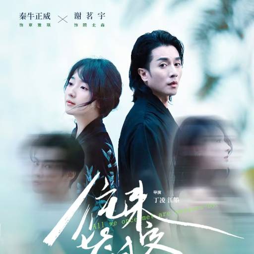 往来皆过客