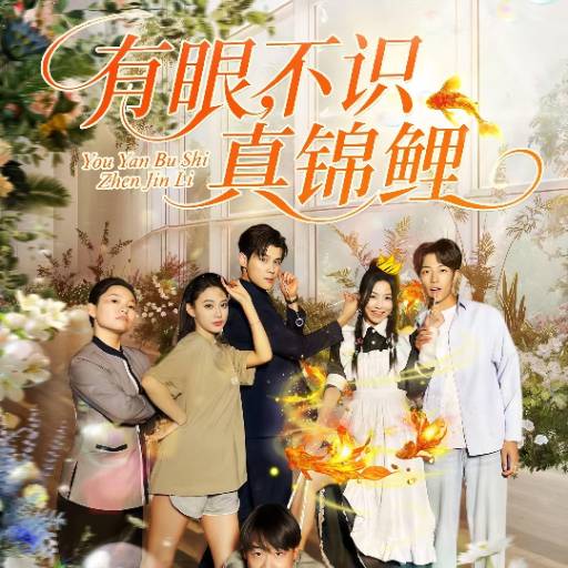 有眼，不识真锦鲤