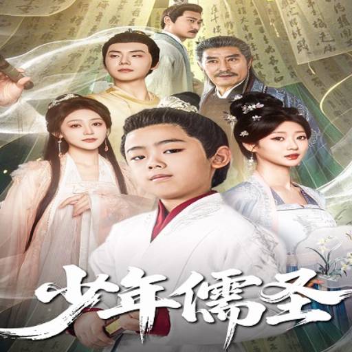 少年儒圣