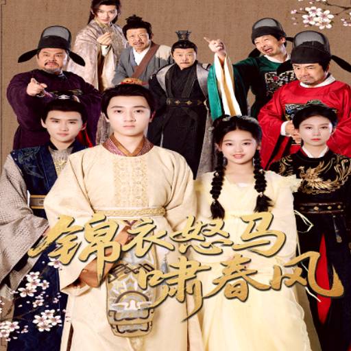 锦衣怒马啸春风