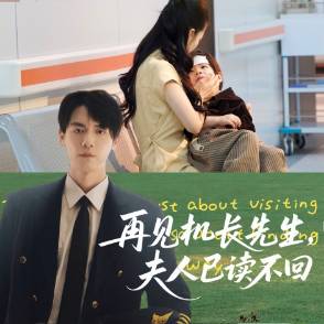 再见机长先生，夫人已读不回