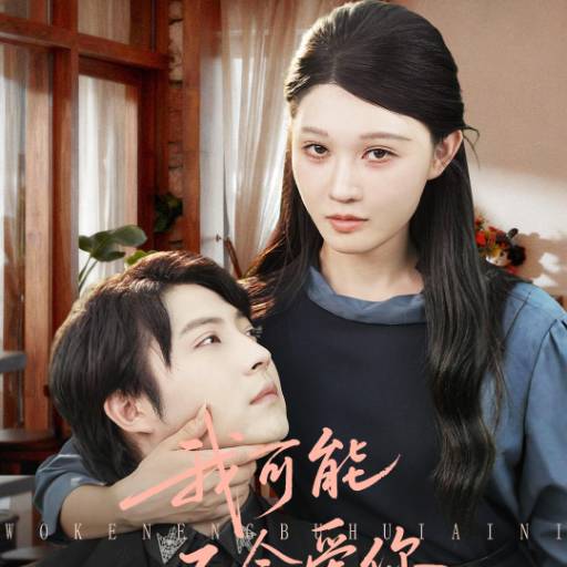 我可能不会爱你