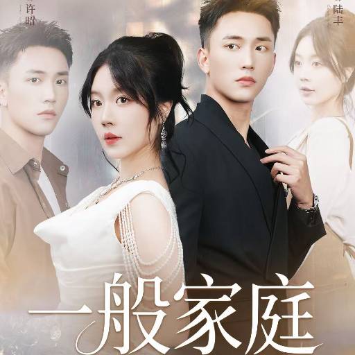 一般家庭