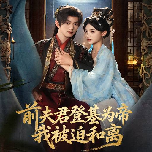 前夫君登基为帝，我被迫和离