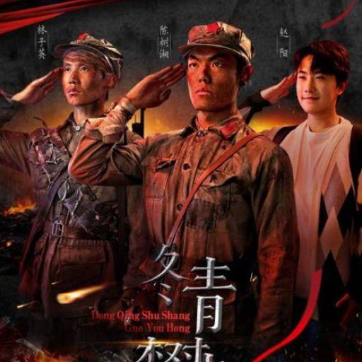 冬青树上果犹红_精彩短剧