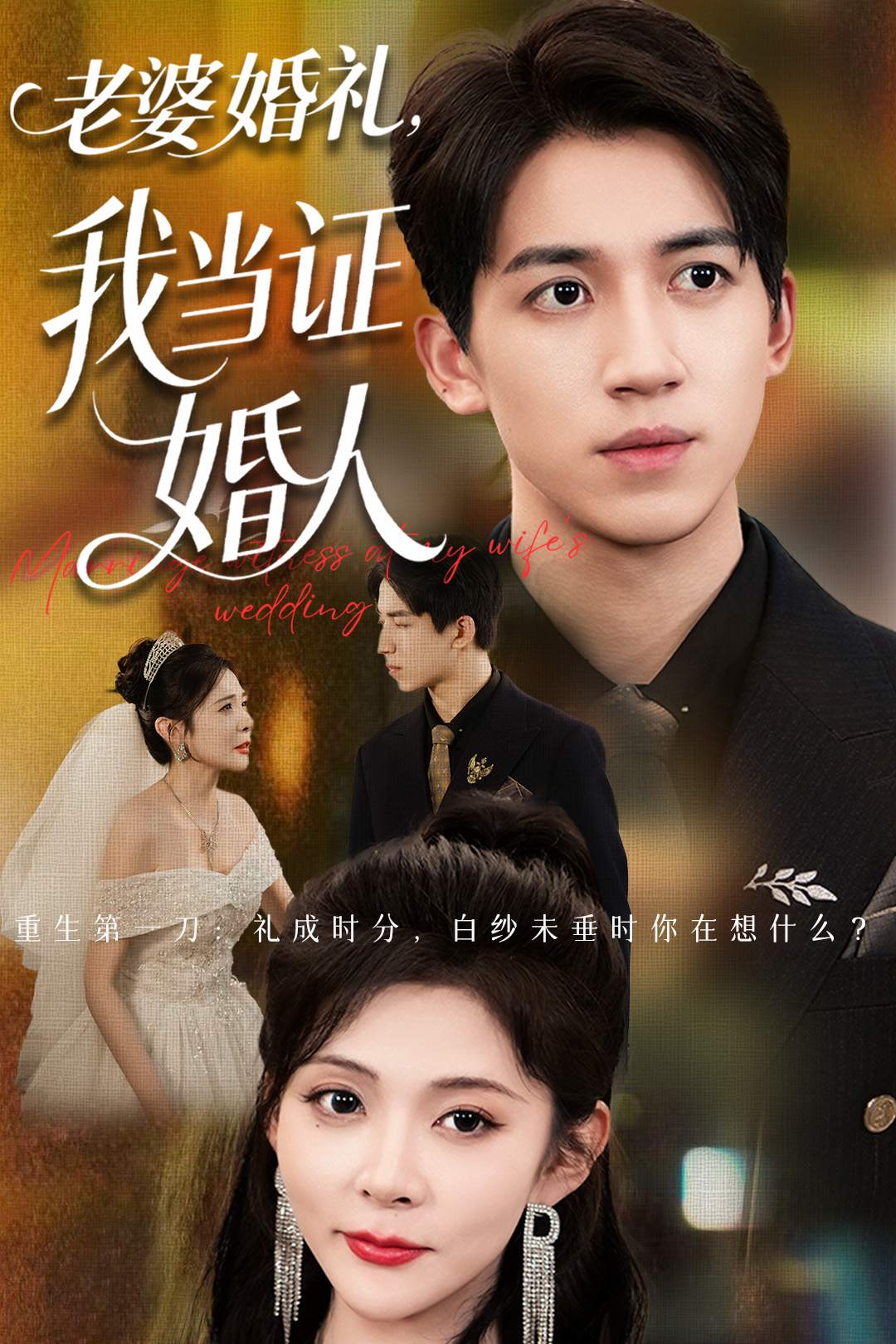 老婆婚礼，我当证婚人