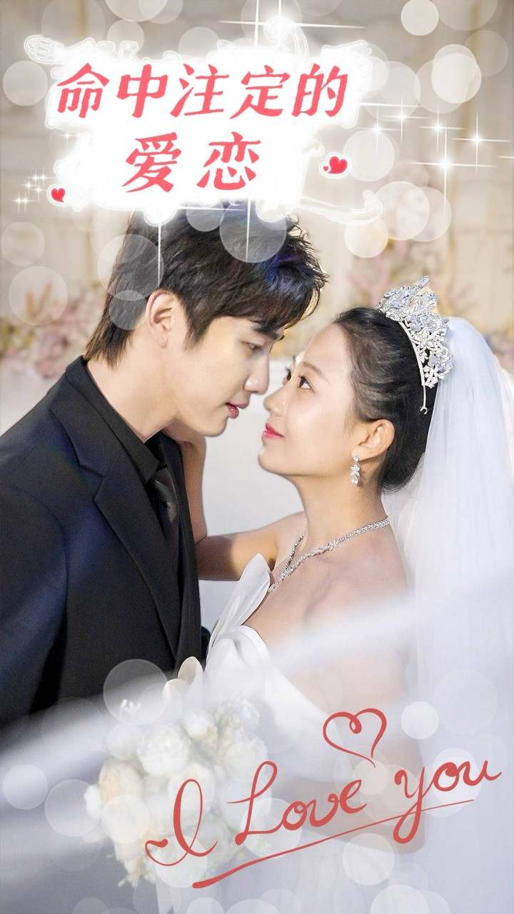 命中注定的爱恋